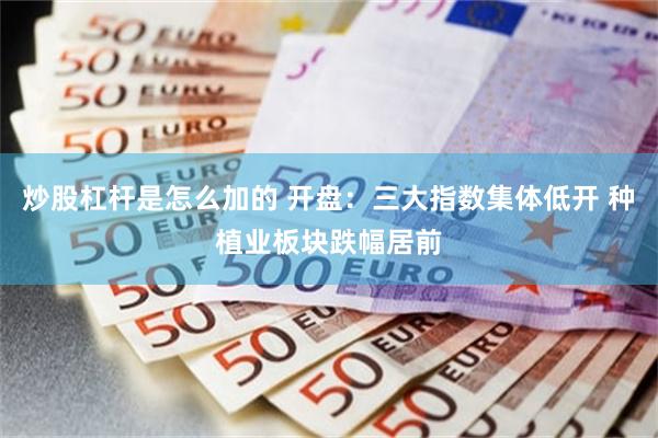 炒股杠杆是怎么加的 开盘：三大指数集体低开 种植业板块跌幅居前