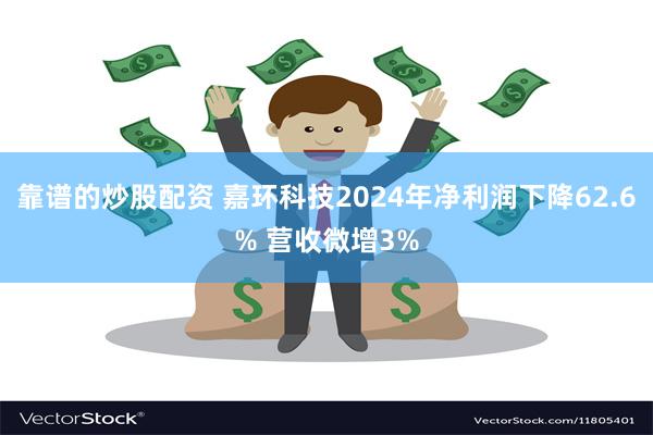 靠谱的炒股配资 嘉环科技2024年净利润下降62.6% 营收微增3%