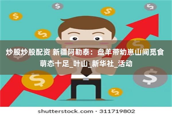 炒股炒股配资 新疆阿勒泰：盘羊带幼崽山间觅食 萌态十足_叶山_新华社_活动