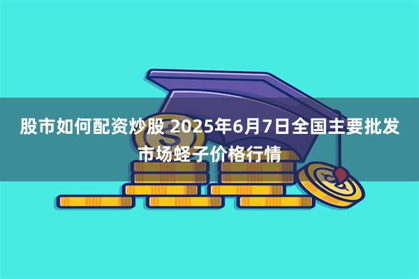 股市如何配资炒股 2025年6月7日全国主要批发市场蛏子价格行情