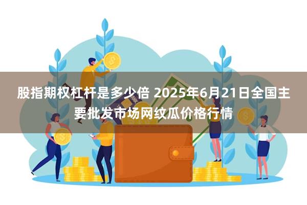 股指期权杠杆是多少倍 2025年6月21日全国主要批发市场网纹瓜价格行情