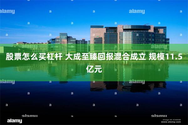 股票怎么买杠杆 大成至臻回报混合成立 规模11.5亿元
