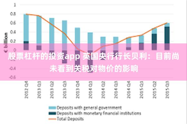 股票杠杆的投资app 英国央行行长贝利：目前尚未看到关税对物价的影响