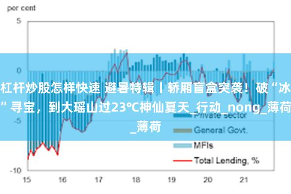杠杆炒股怎样快速 避暑特辑丨轿厢盲盒突袭！破“冰”寻宝，到大瑶山过23℃神仙夏天_行动_nong_薄荷