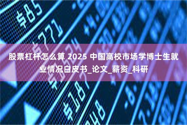 股票杠杆怎么算 2025 中国高校市场学博士生就业情况白皮书_论文_薪资_科研