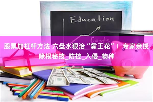 股票加杠杆方法 六盘水狠治“霸王花”！专家亲授除根秘技_防控_入侵_物种