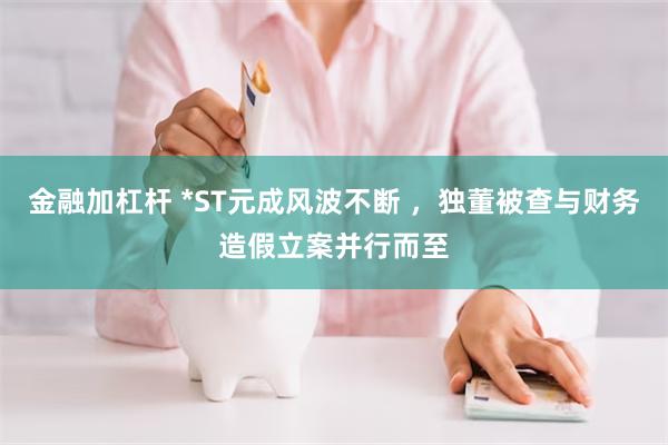 金融加杠杆 *ST元成风波不断 ，独董被查与财务造假立案并行而至