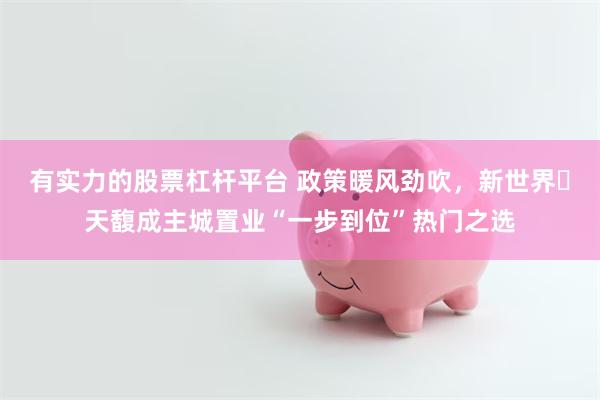 有实力的股票杠杆平台 政策暖风劲吹，新世界・天馥成主城置业“一步到位”热门之选