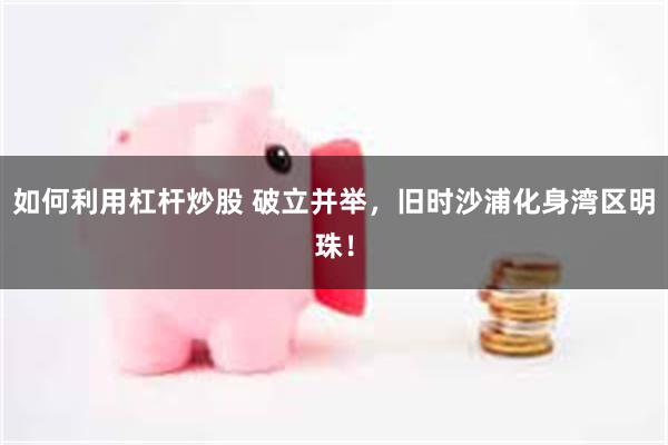 如何利用杠杆炒股 破立并举，旧时沙浦化身湾区明珠！