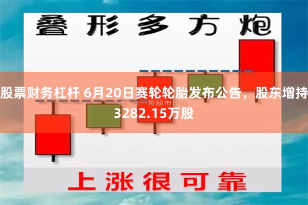 股票财务杠杆 6月20日赛轮轮胎发布公告，股东增持3282.15万股