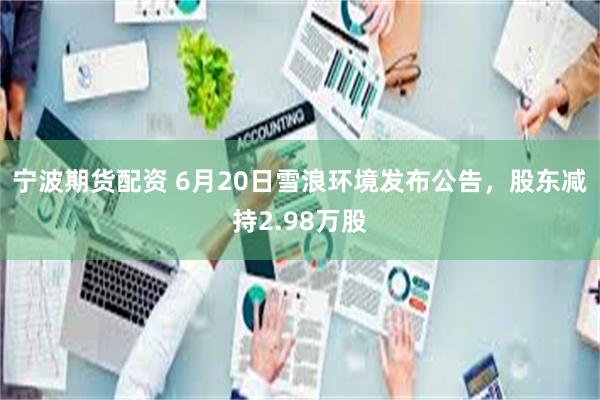 宁波期货配资 6月20日雪浪环境发布公告，股东减持2.98万股