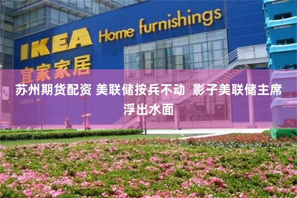 苏州期货配资 美联储按兵不动  影子美联储主席浮出水面