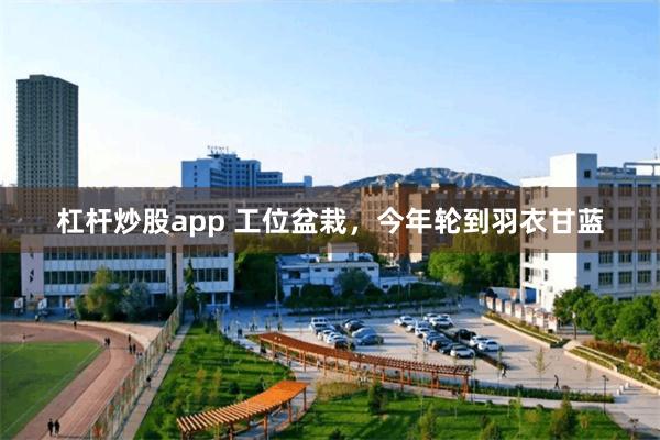 杠杆炒股app 工位盆栽，今年轮到羽衣甘蓝