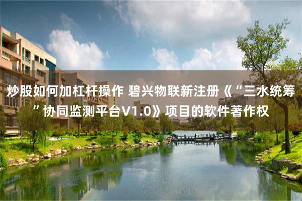 炒股如何加杠杆操作 碧兴物联新注册《“三水统筹”协同监测平台V1.0》项目的软件著作权
