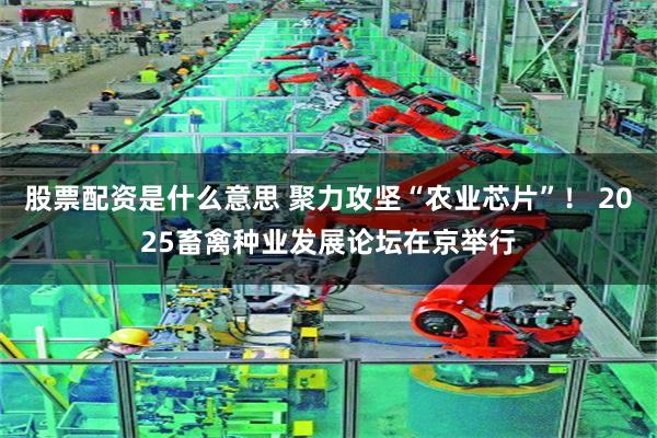 股票配资是什么意思 聚力攻坚“农业芯片”！ 2025畜禽种业发展论坛在京举行