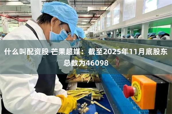 什么叫配资股 芒果超媒：截至2025年11月底股东总数为46098