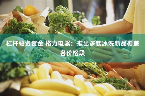 杠杆融资资金 格力电器：推出多款冰洗新品覆盖各价格段