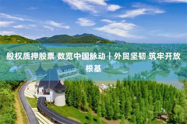 股权质押股票 数览中国脉动｜外贸坚韧 筑牢开放根基