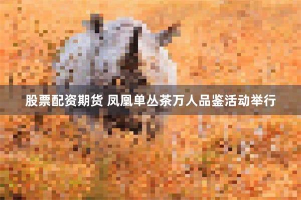 股票配资期货 凤凰单丛茶万人品鉴活动举行