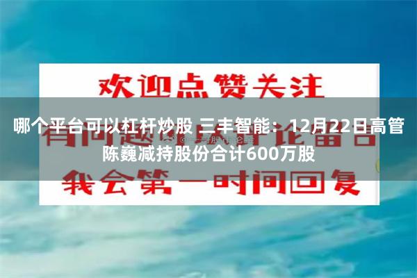 哪个平台可以杠杆炒股 三丰智能:12月22日高管陈巍减持股份合计600万股