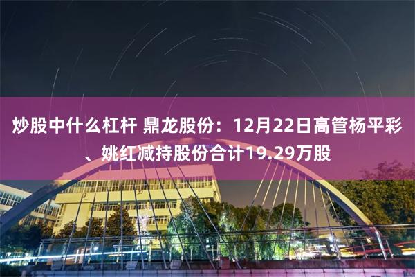 炒股中什么杠杆 鼎龙股份：12月22日高管杨平彩、姚红减持股份合计19.29万股