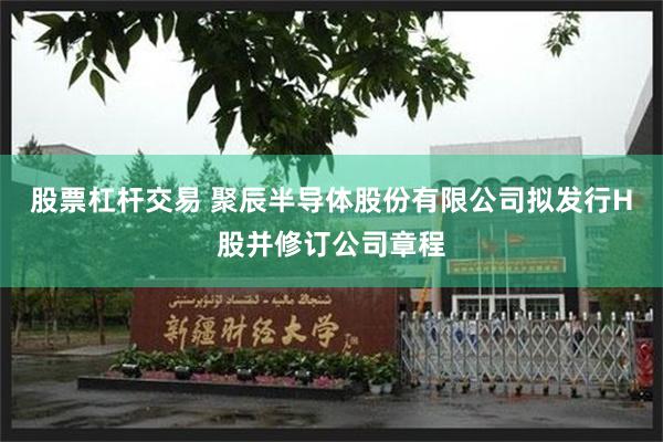 股票杠杆交易 聚辰半导体股份有限公司拟发行H股并修订公司章程
