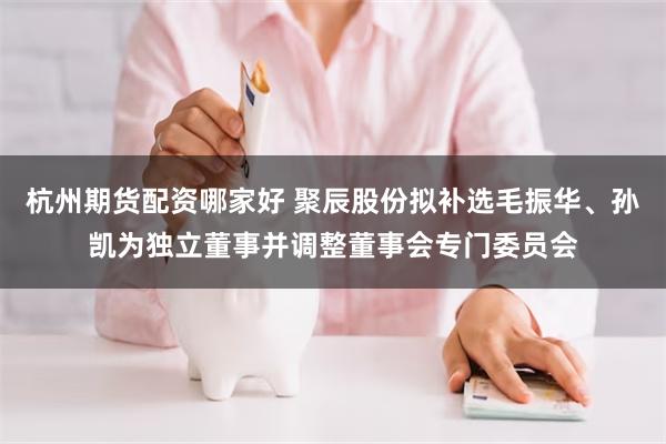 杭州期货配资哪家好 聚辰股份拟补选毛振华、孙凯为独立董事并调整董事会专门委员会