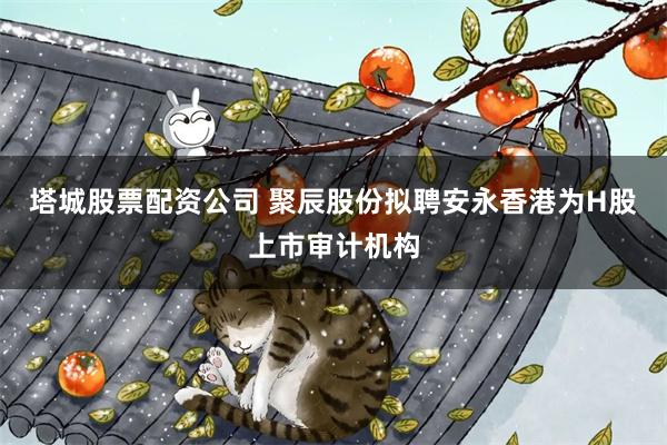 塔城股票配资公司 聚辰股份拟聘安永香港为H股上市审计机构