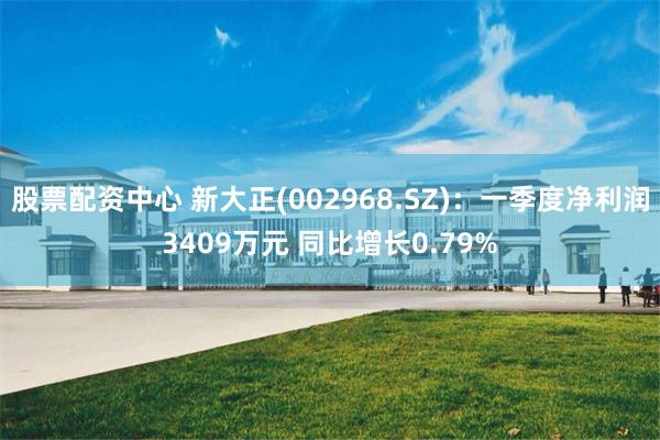 股票配资中心 新大正(002968.SZ)：一季度净利润3409万元 同比增长0.79%