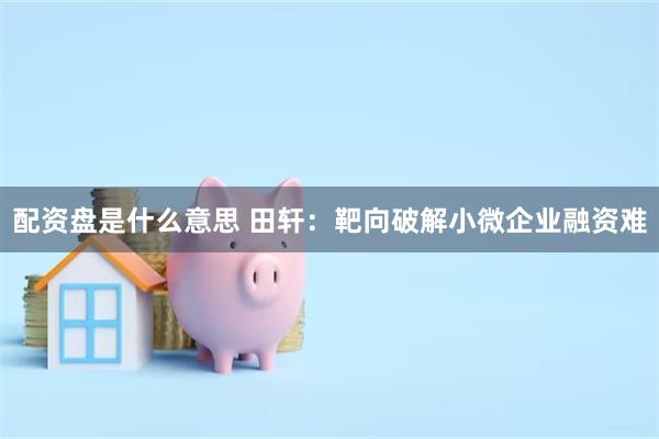 配资盘是什么意思 田轩:靶向破解小微企业融资难