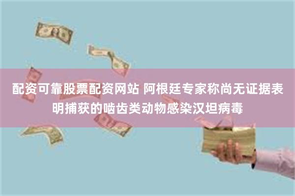 配资可靠股票配资网站 阿根廷专家称尚无证据表明捕获的啮齿类动物感染汉坦病毒
