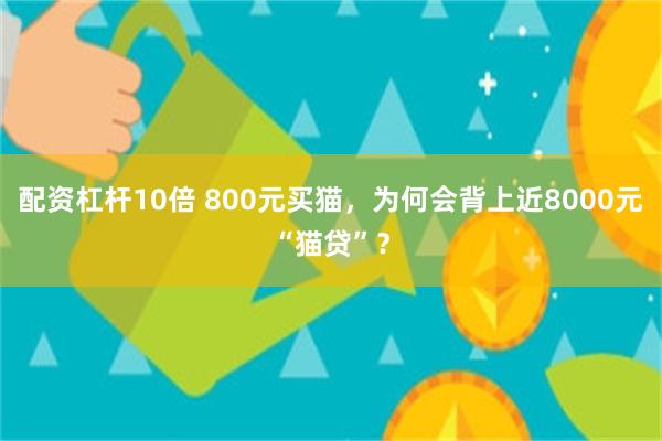 配资杠杆10倍 800元买猫，为何会背上近8000元“猫贷”？