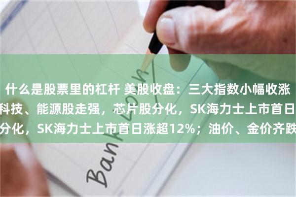 什么是股票里的杠杆 美股收盘：三大指数小幅收涨，标普500连涨两周；科技、能源股走强，芯片股分化，SK海力士上市首日涨超12%；油价、金价齐跌
