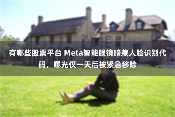 有哪些股票平台 Meta智能眼镜暗藏人脸识别代码,曝光仅一天后被紧急移除