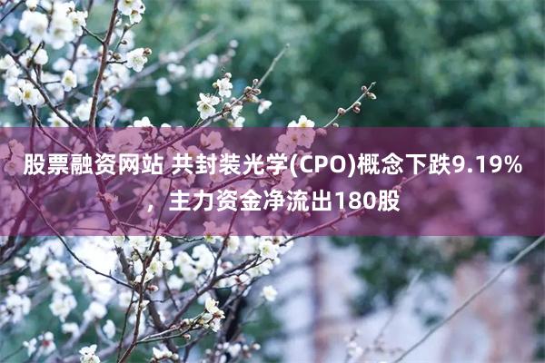股票融资网站 共封装光学(CPO)概念下跌9.19%,主力资金净流出180股