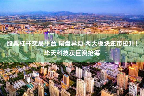 股票杠杆交易平台 尾盘异动 两大板块逆市拉升!华天科技获巨资抢筹