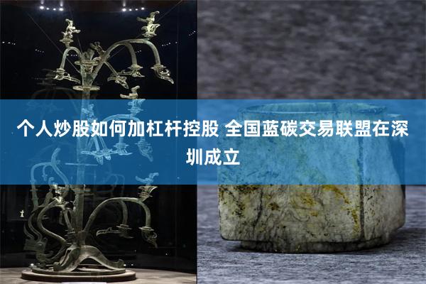 个人炒股如何加杠杆控股 全国蓝碳交易联盟在深圳成立