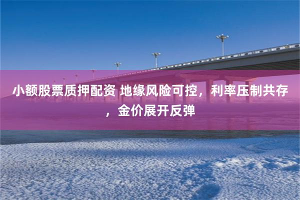 小额股票质押配资 地缘风险可控，利率压制共存，金价展开反弹