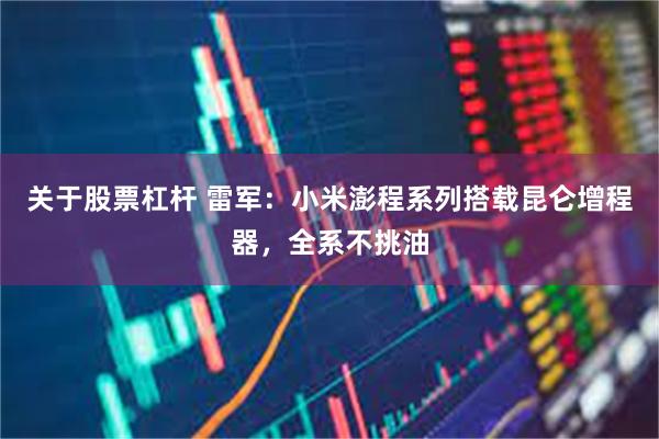 关于股票杠杆 雷军：小米澎程系列搭载昆仑增程器，全系不挑油