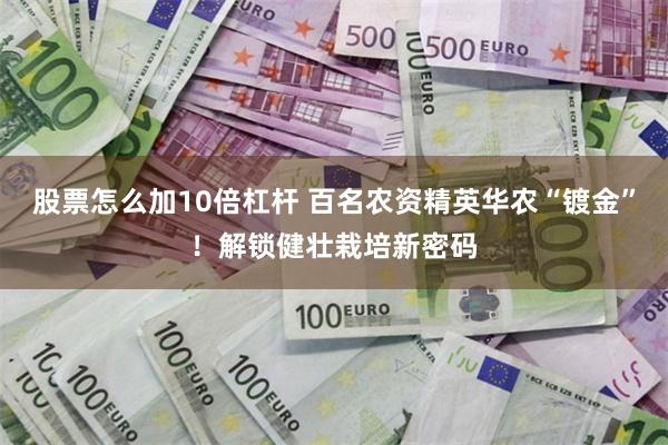 股票怎么加10倍杠杆 百名农资精英华农“镀金”！解锁健壮栽培新密码