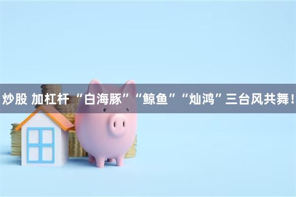 炒股 加杠杆 “白海豚”“鲸鱼”“灿鸿”三台风共舞！