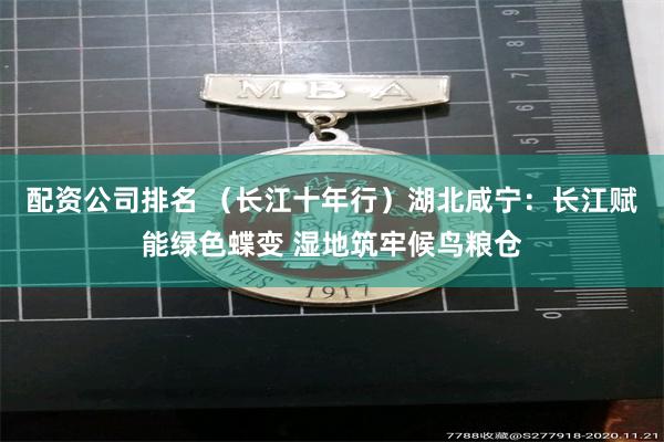 配资公司排名 （长江十年行）湖北咸宁：长江赋能绿色蝶变 湿地筑牢候鸟粮仓