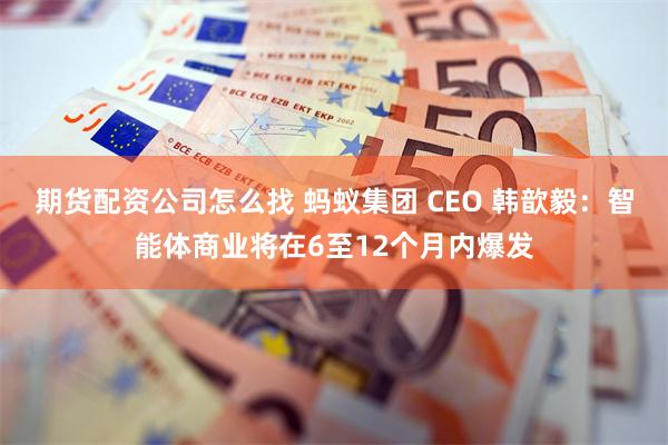 期货配资公司怎么找 蚂蚁集团 CEO 韩歆毅：智能体商业将在6至12个月内爆发