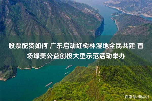 股票配资如何 广东启动红树林湿地全民共建 首场绿美公益创投大型示范活动举办