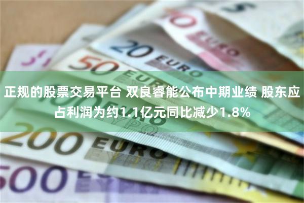 正规的股票交易平台 双良睿能公布中期业绩 股东应占利润为约1.1亿元同比减少1.8%
