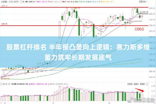 股票杠杆排名 半年报凸显向上逻辑：赛力斯多维蓄力筑牢长期发展底气