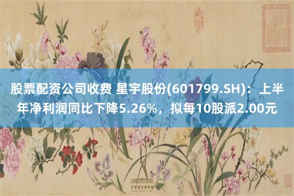 股票配资公司收费 星宇股份(601799.SH)：上半年净利润同比下降5.26%，拟每10股派2.00元