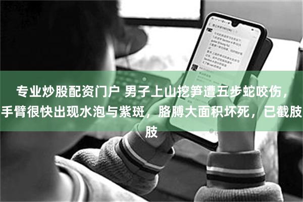 专业炒股配资门户 男子上山挖笋遭五步蛇咬伤，手臂很快出现水泡与紫斑，胳膊大面积坏死，已截肢
