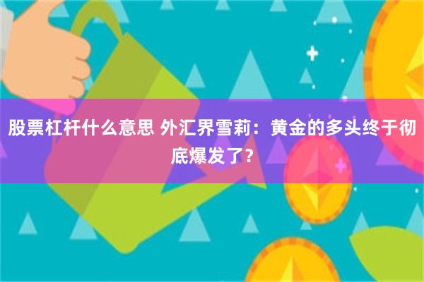 股票杠杆什么意思 外汇界雪莉：黄金的多头终于彻底爆发了？