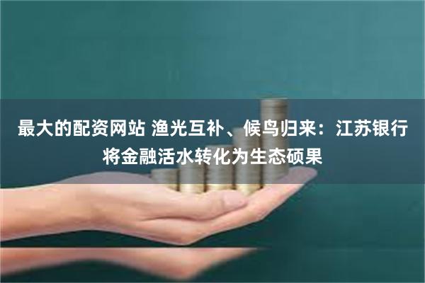 最大的配资网站 渔光互补、候鸟归来：江苏银行将金融活水转化为生态硕果